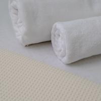 Evripussuites 072